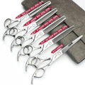 Professional Hairdressing Scissors