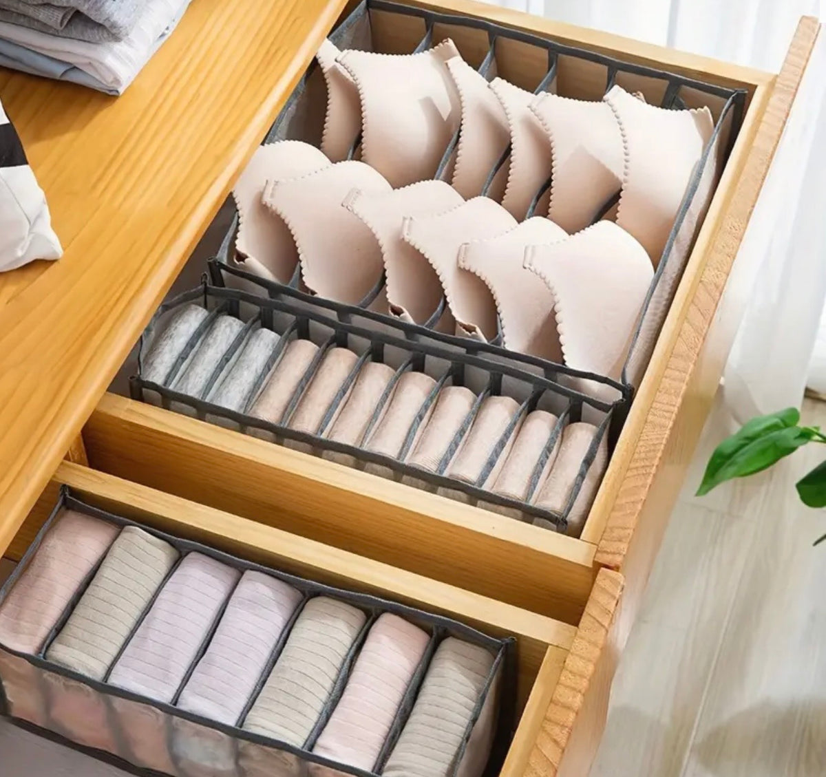 HOME ORGANISATION