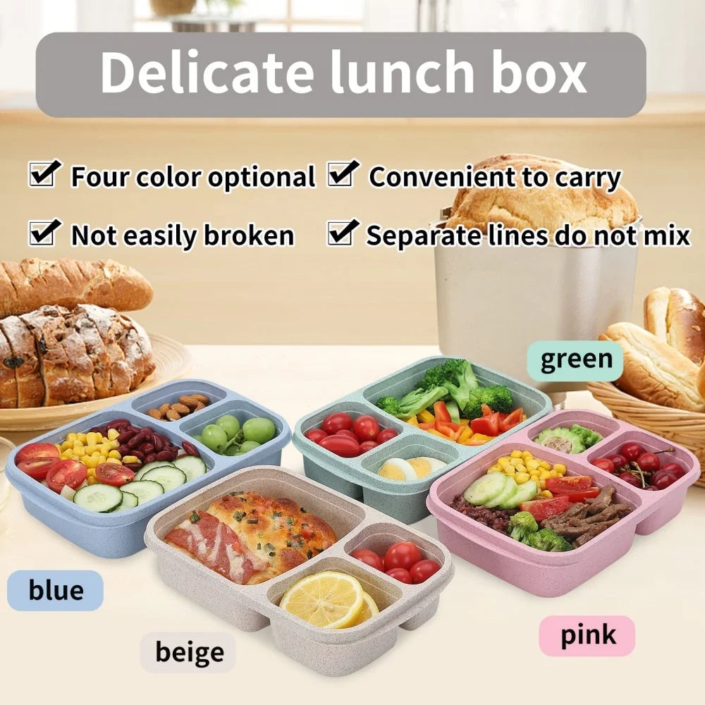 Bento Lunch Box