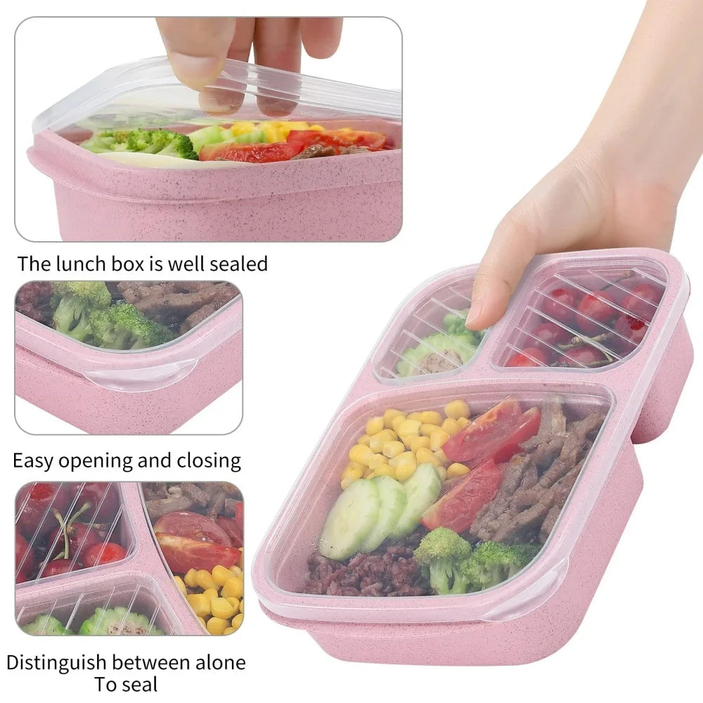 Bento Lunch Box