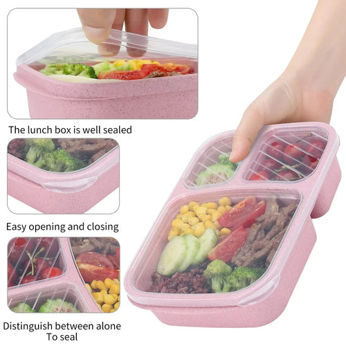 Bento Lunch Box