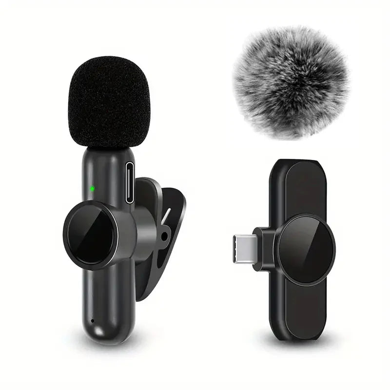 Video Recording Mini Mic