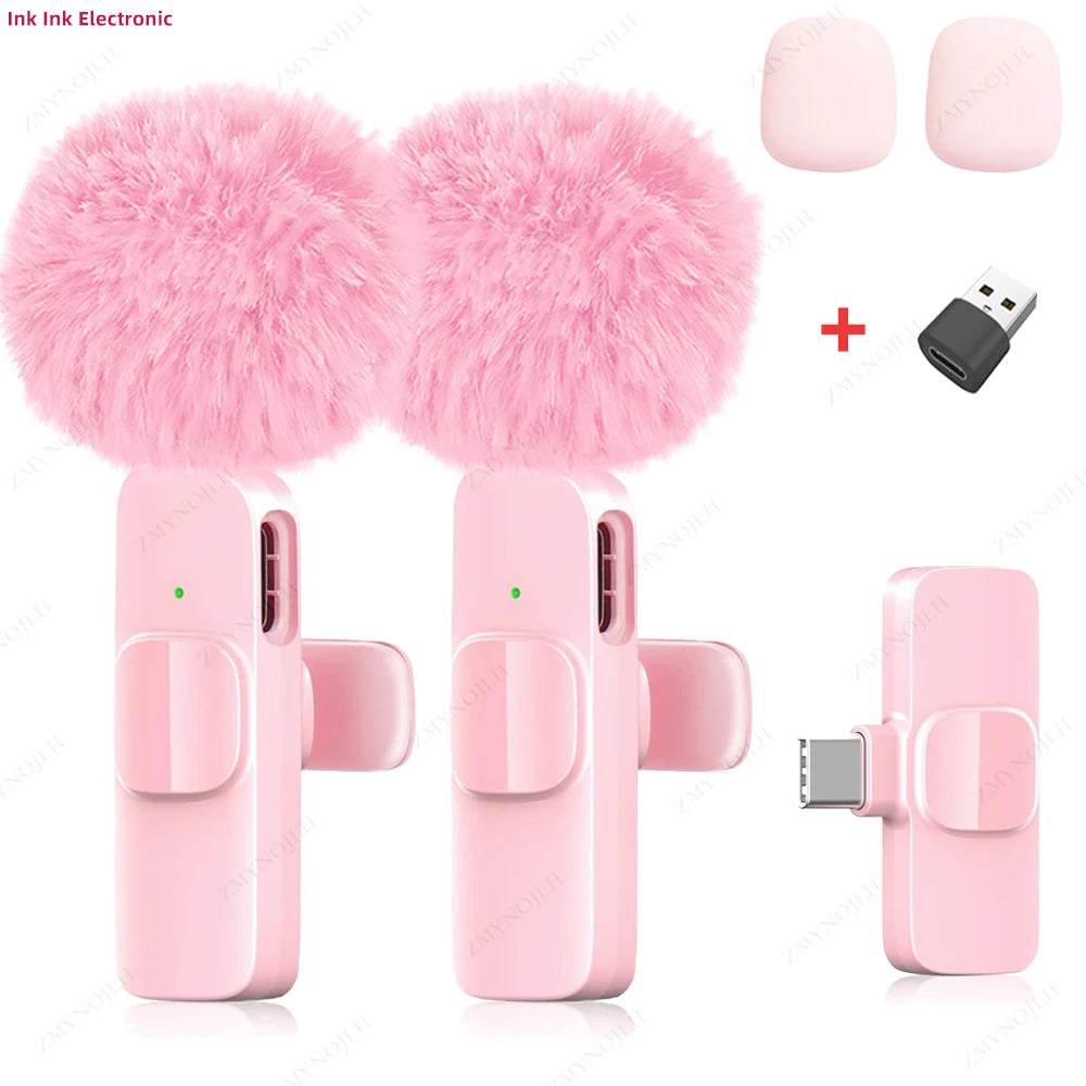 Portable Mini Mic