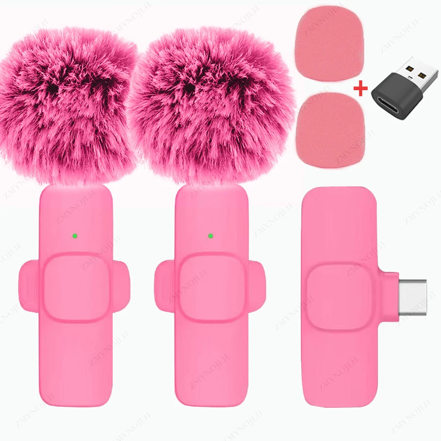 Portable Mini Mic
