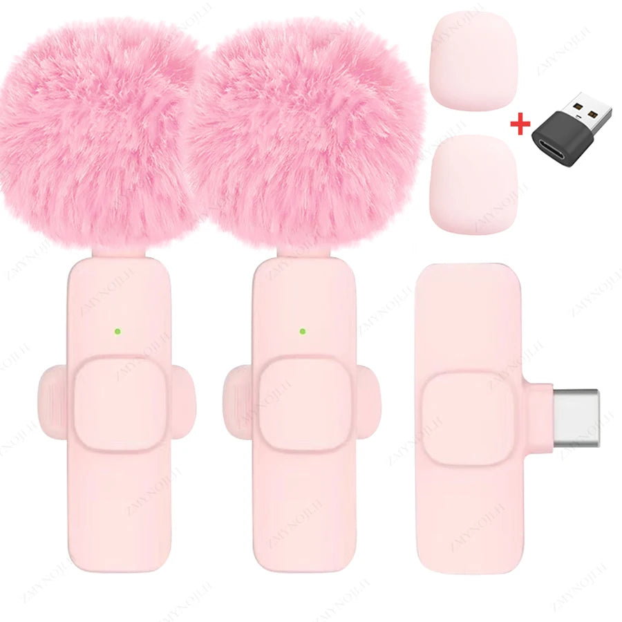 Portable Mini Mic