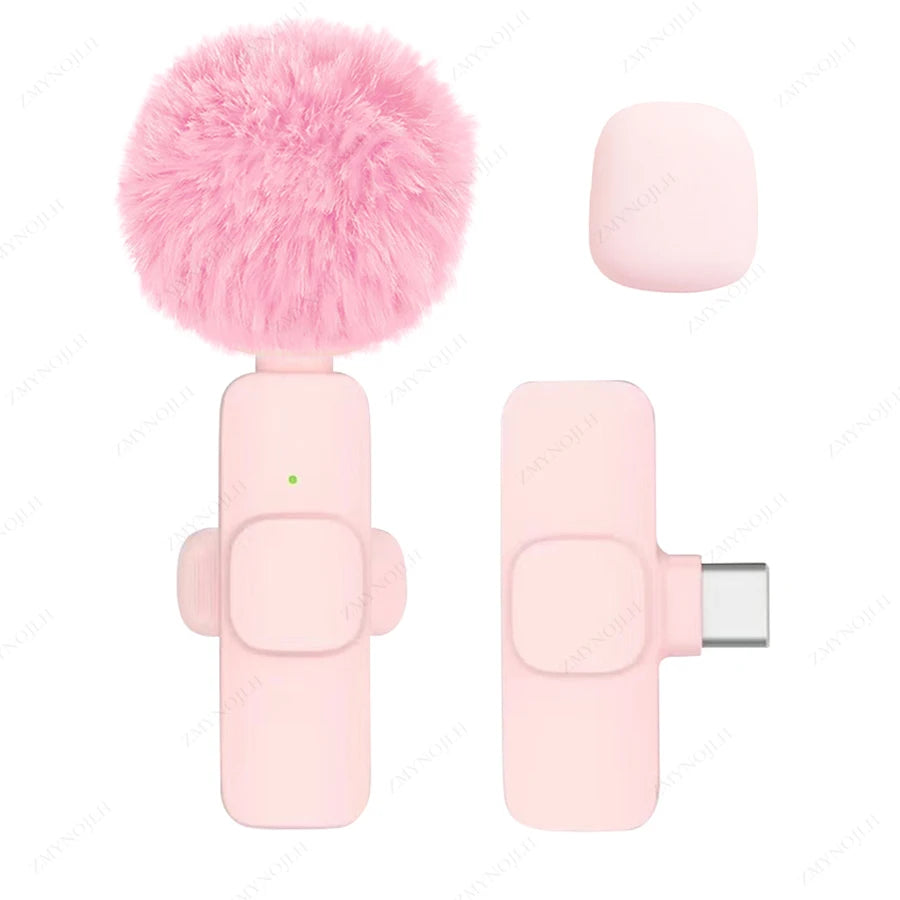 Portable Mini Mic