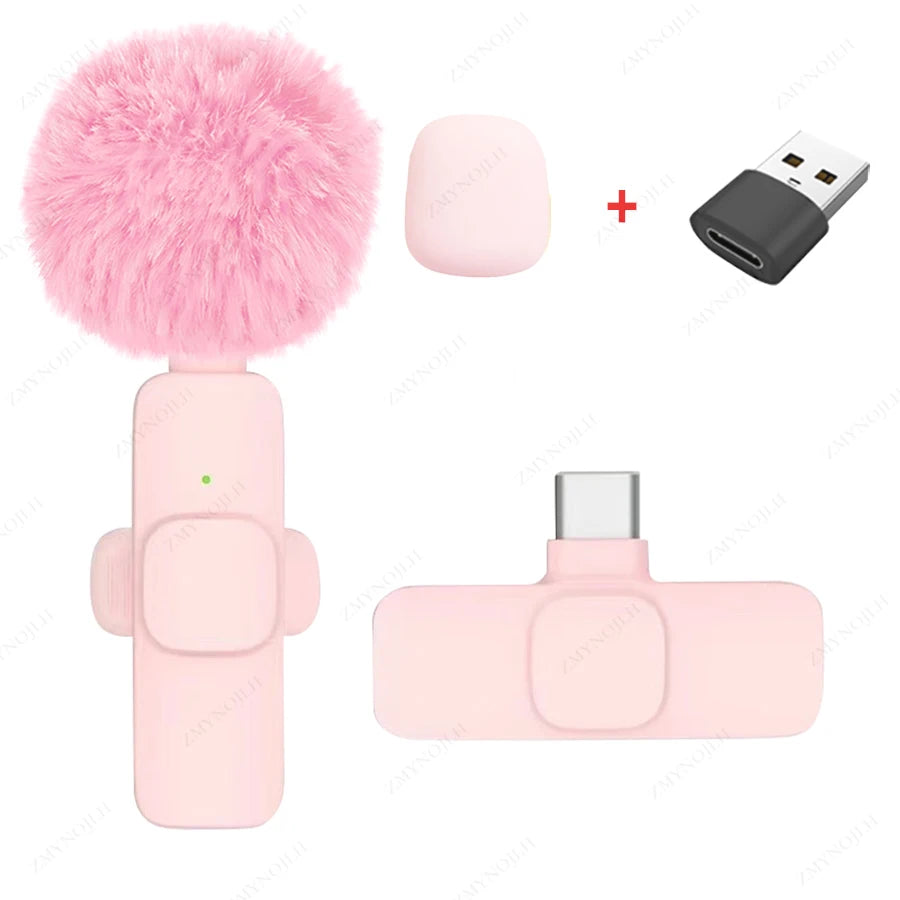 Portable Mini Mic