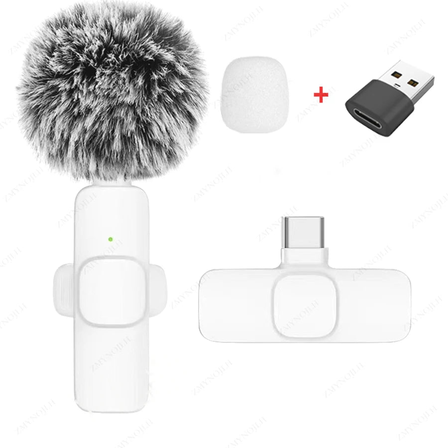 Portable Mini Mic