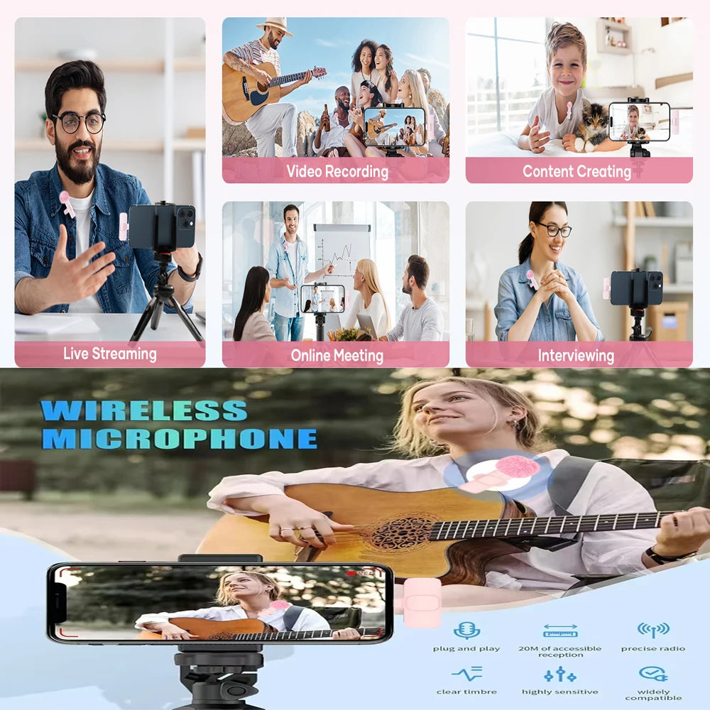 Portable Mini Mic