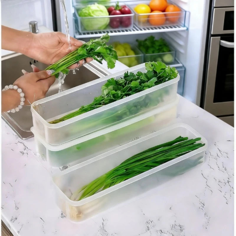 Rectangular Food Storage Containers