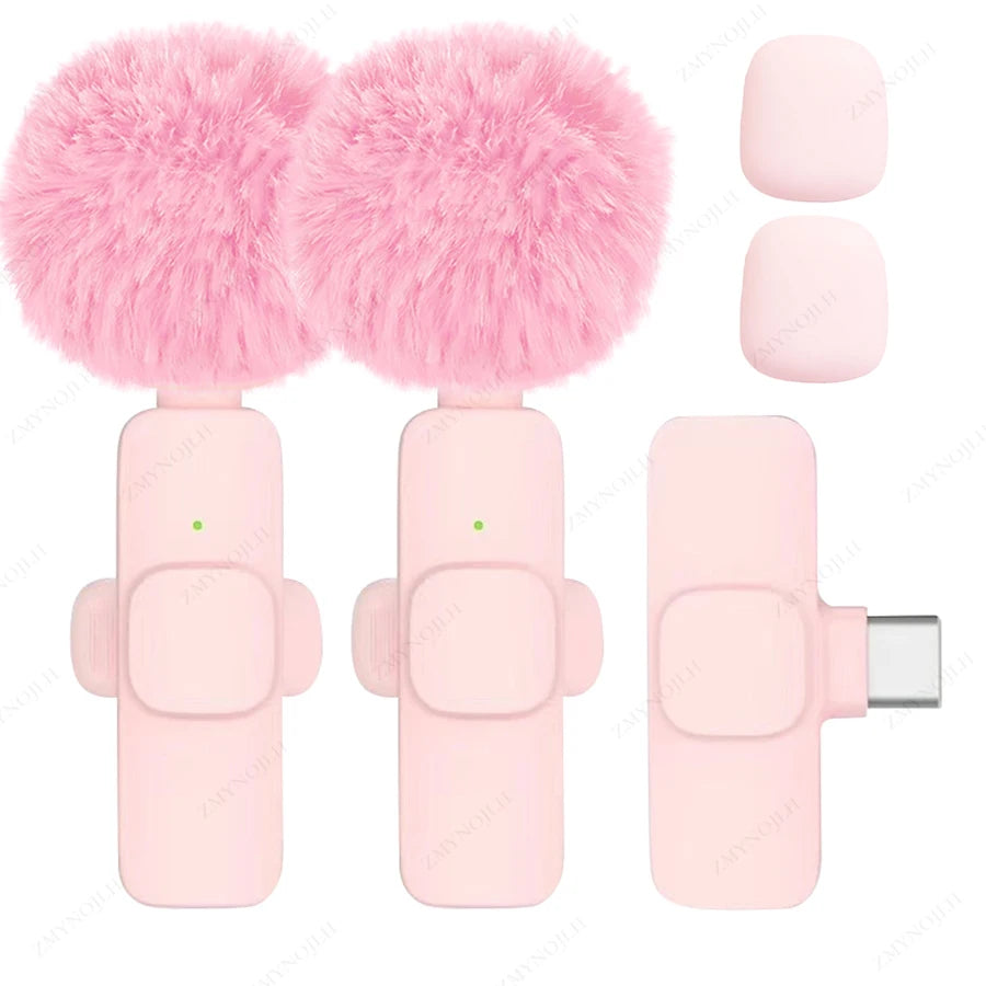 Portable Mini Mic