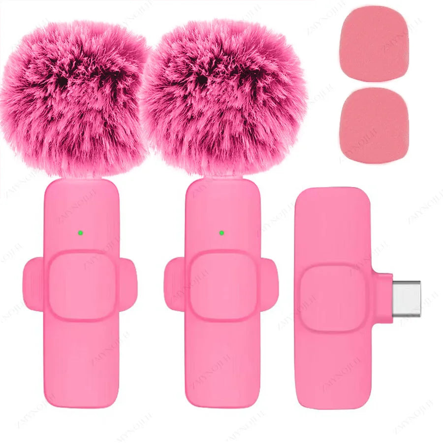 Portable Mini Mic