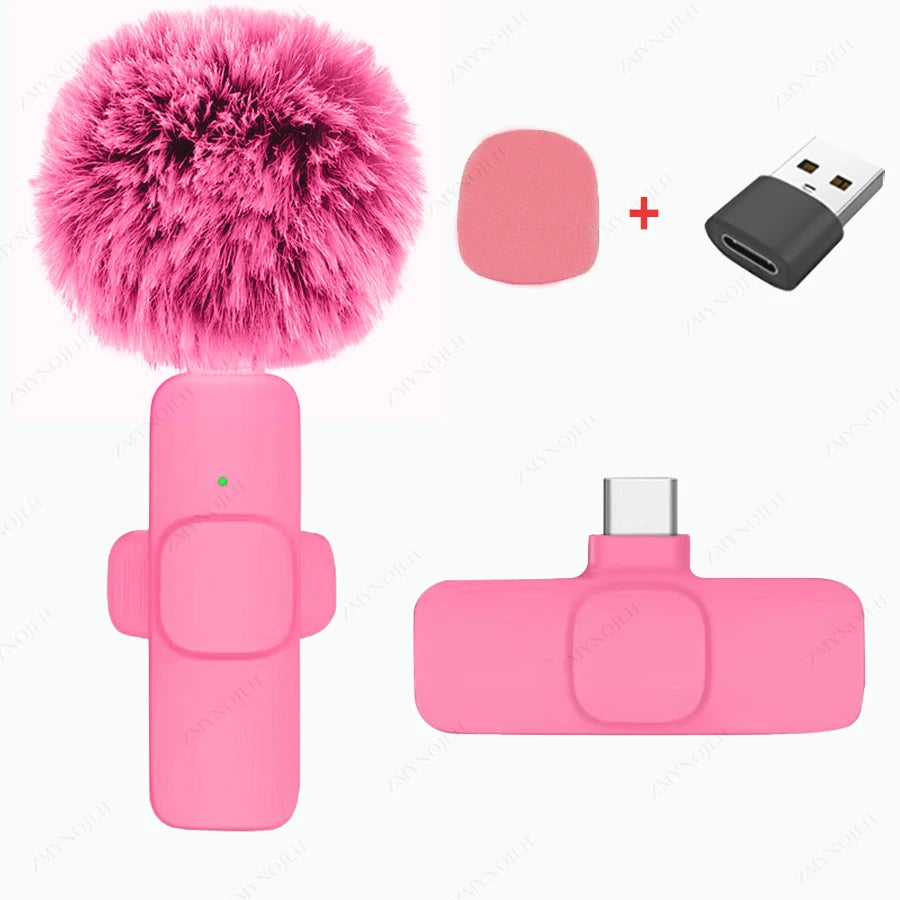Portable Mini Mic