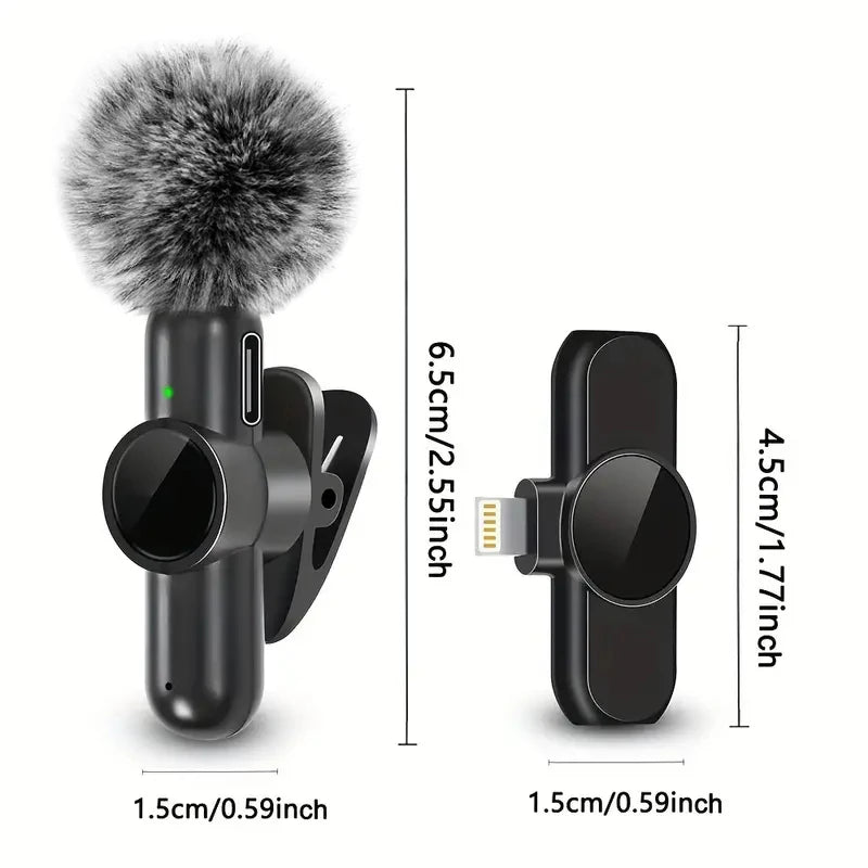 Video Recording Mini Mic