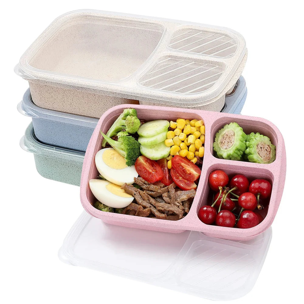 Bento Lunch Box