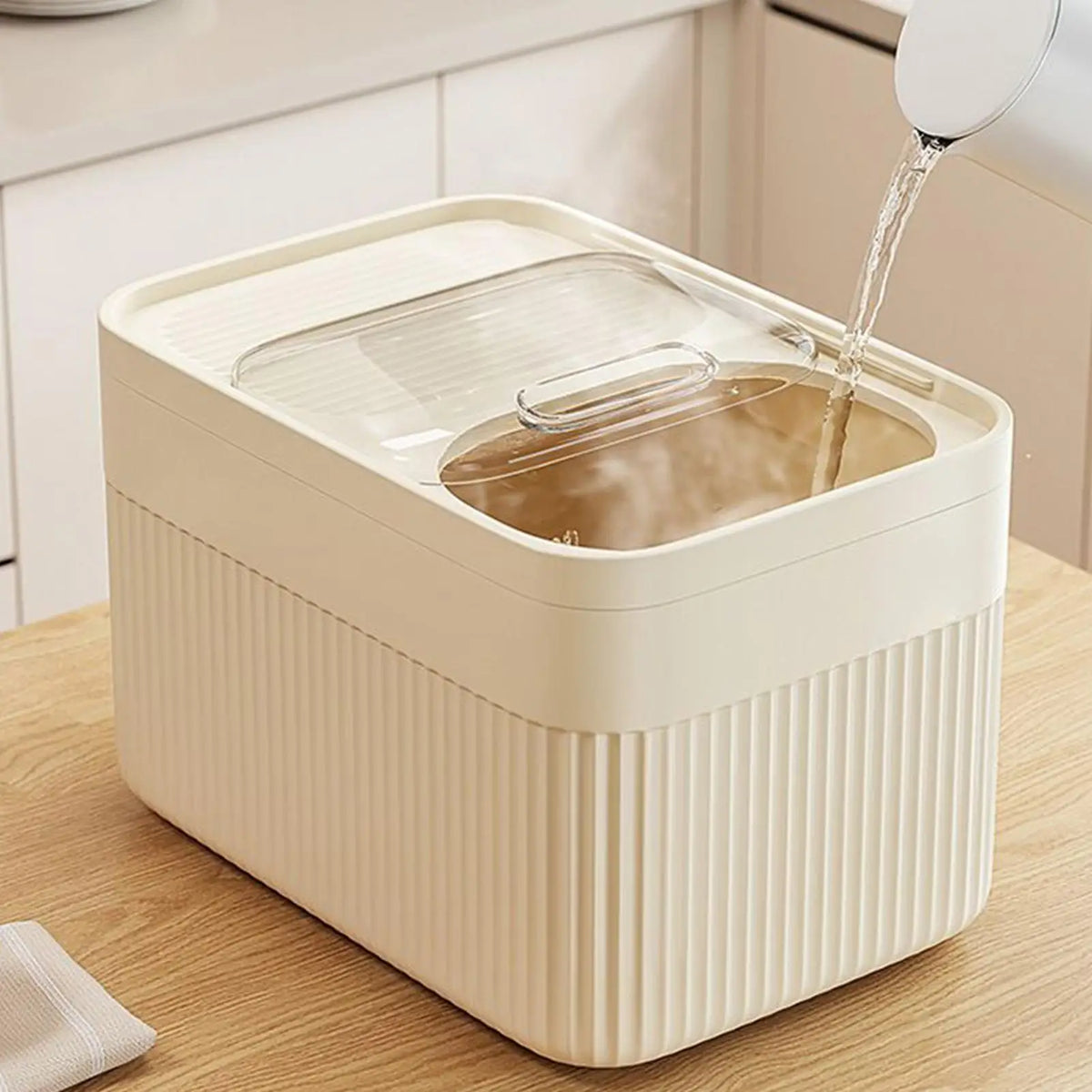 Rice Storage Container