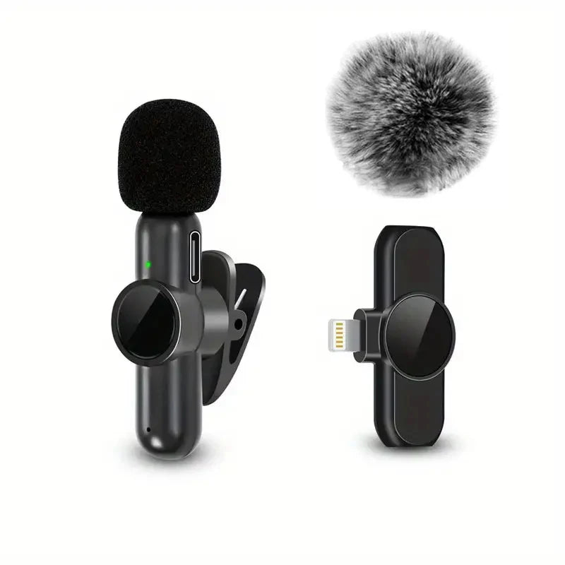 Video Recording Mini Mic