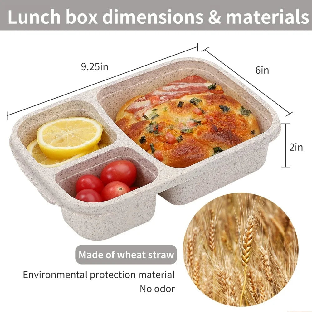 Bento Lunch Box