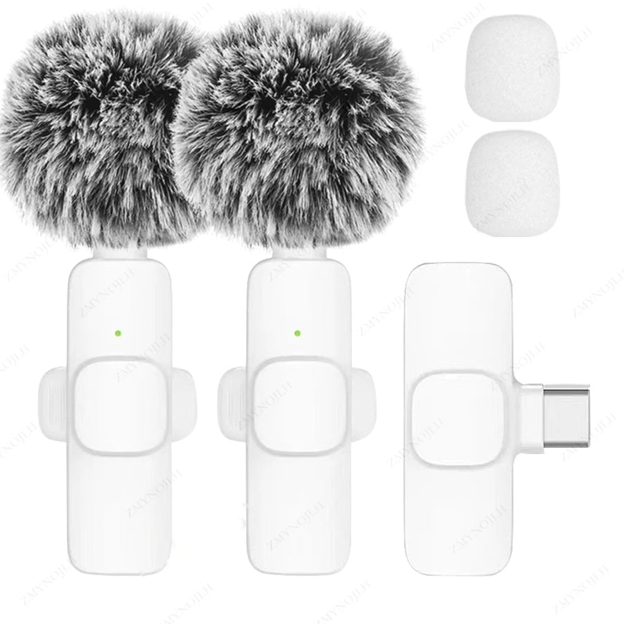 Portable Mini Mic
