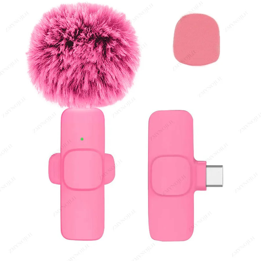 Portable Mini Mic