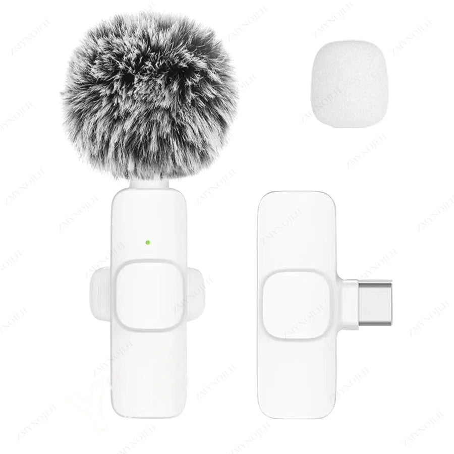 Portable Mini Mic