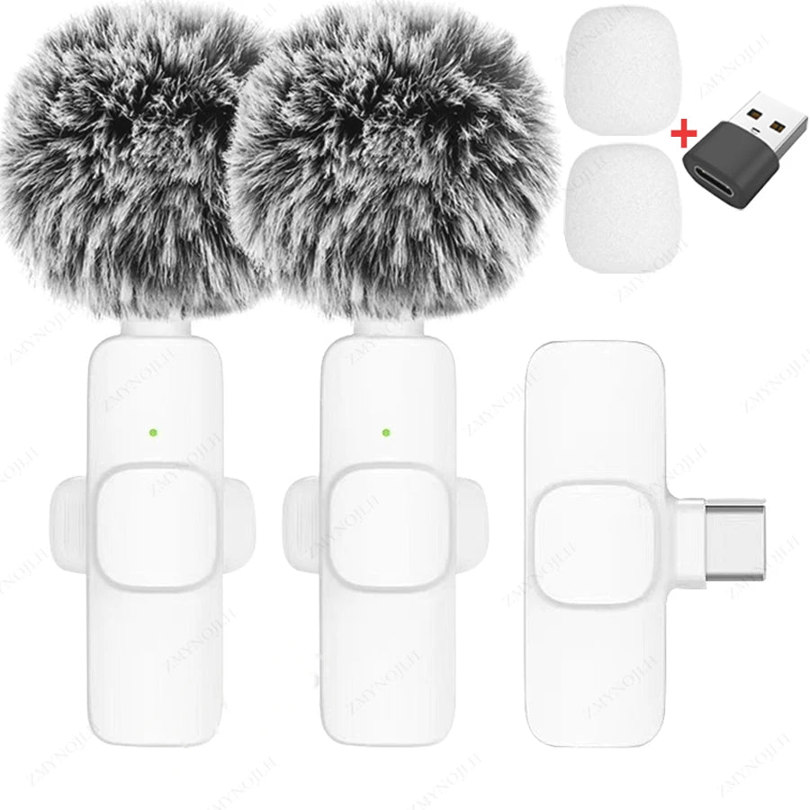 Portable Mini Mic